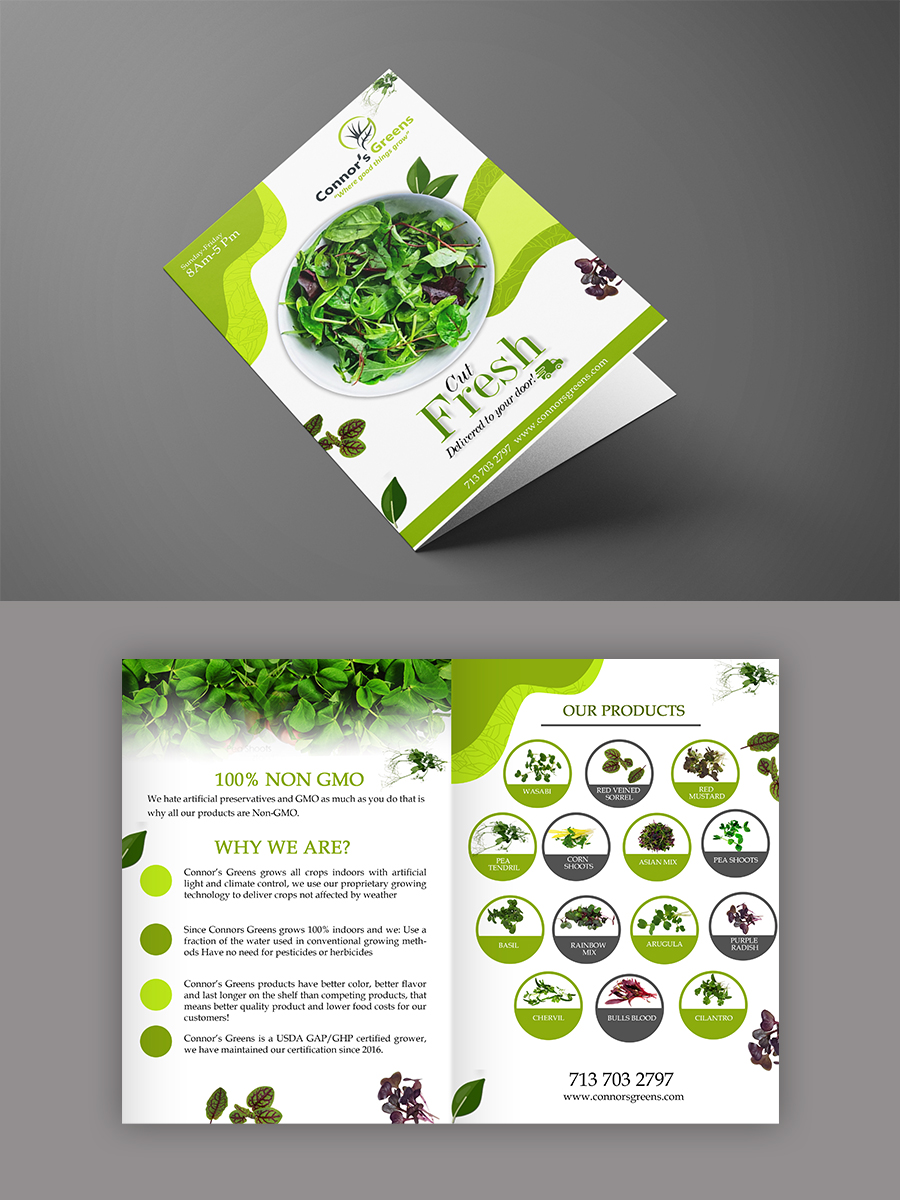 Design de Flyer par n214008 pour XIARA Offshore | Design #30638284