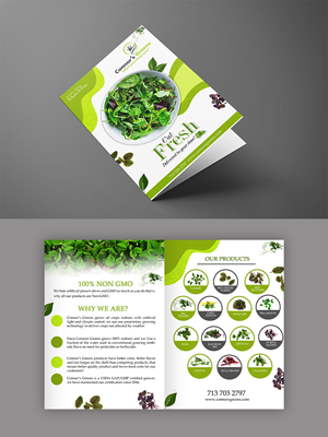 Flyer Design by n214008 for XIARA Offshore | Design: #30638284