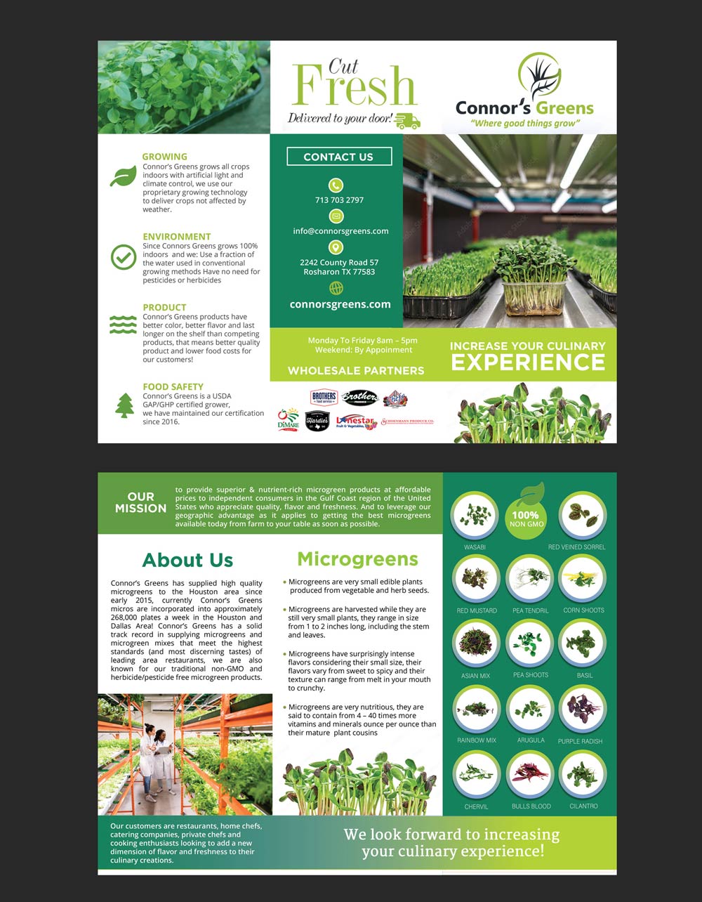 Design de Flyer par DA. pour XIARA Offshore | Design #30636605