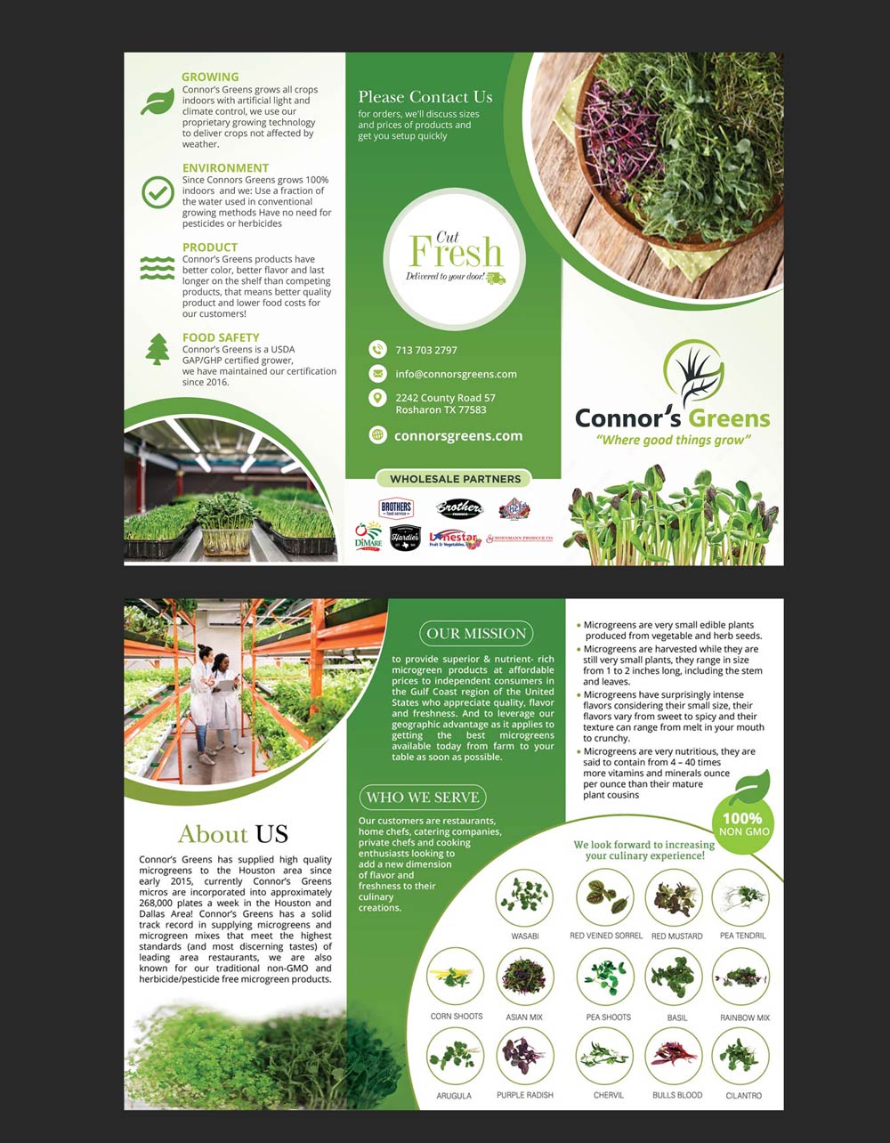 Flyer Design by DA. for XIARA Offshore | Design #30636716