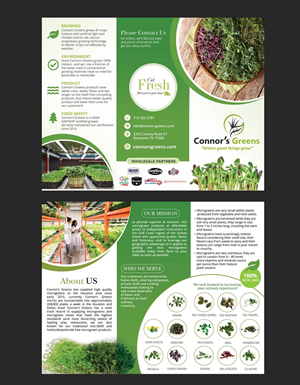 Flyer Design by DA. for XIARA Offshore | Design: #30636716