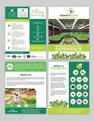 Flyer Design by DA. for XIARA Offshore | Design: #30812221