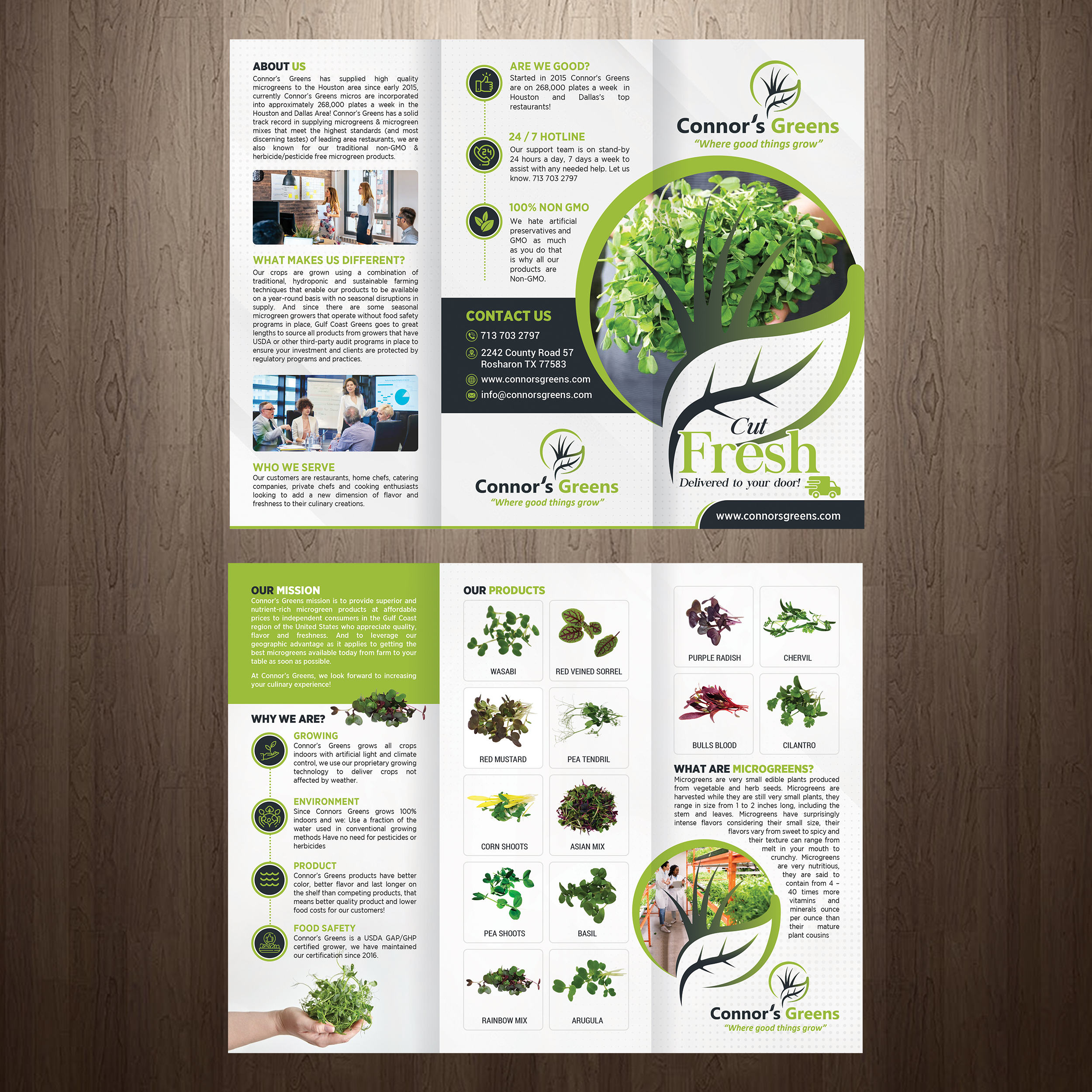 Flyer Design by GraphicsGuru for XIARA Offshore | Design #30637884