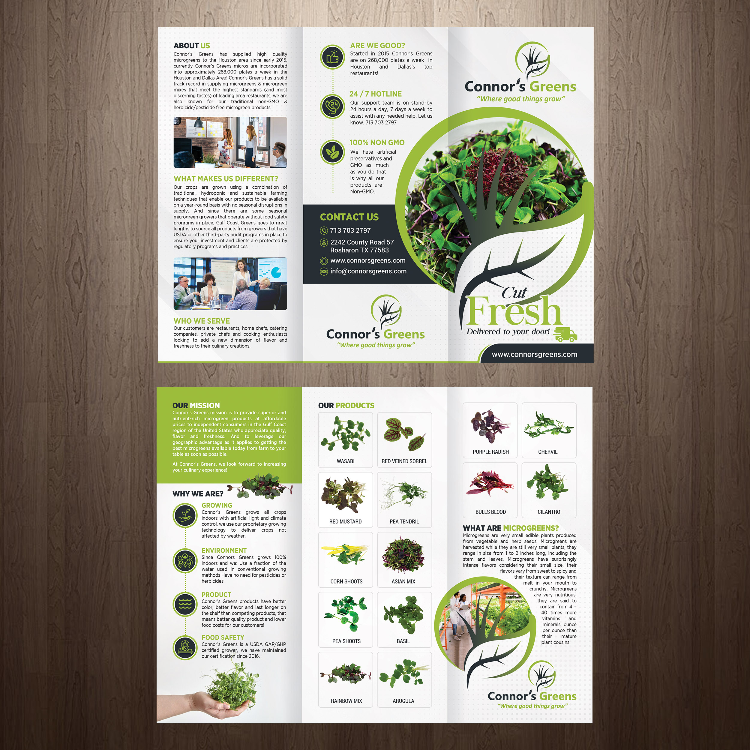 Flyer Design by GraphicsGuru for XIARA Offshore | Design: #30648060