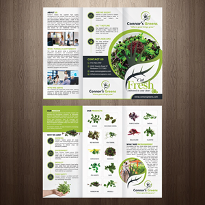 Flyer Design by GraphicsGuru for XIARA Offshore | Design: #30648060