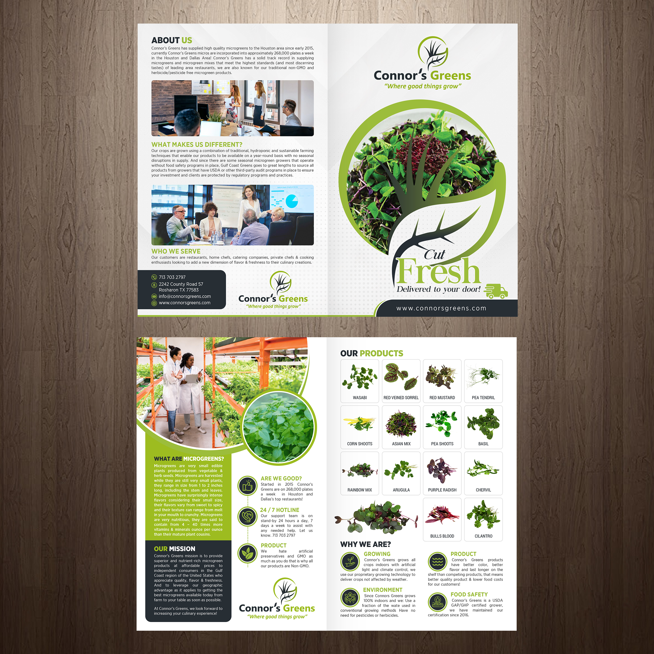 Design de Flyer par GraphicsGuru pour XIARA Offshore | Design #30814968