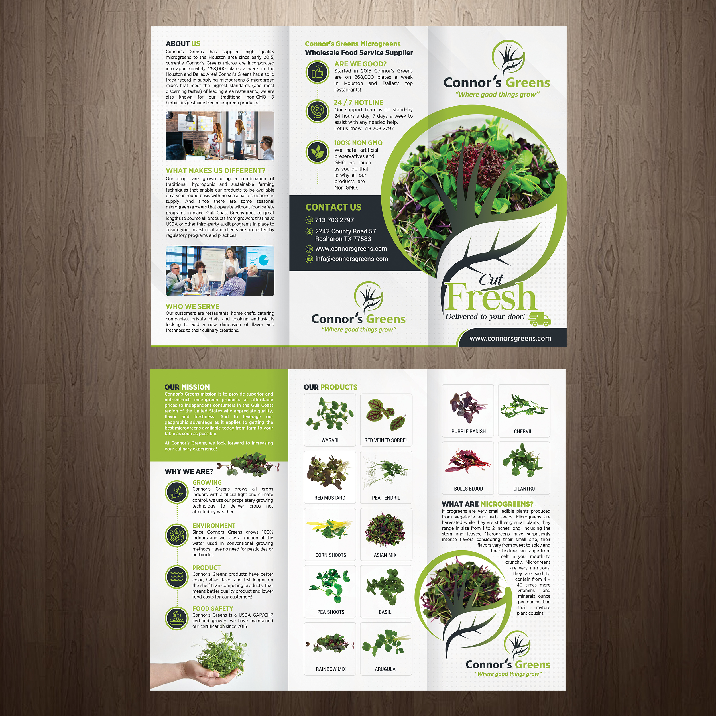 Design de Flyer par GraphicsGuru pour XIARA Offshore | Design #30817318