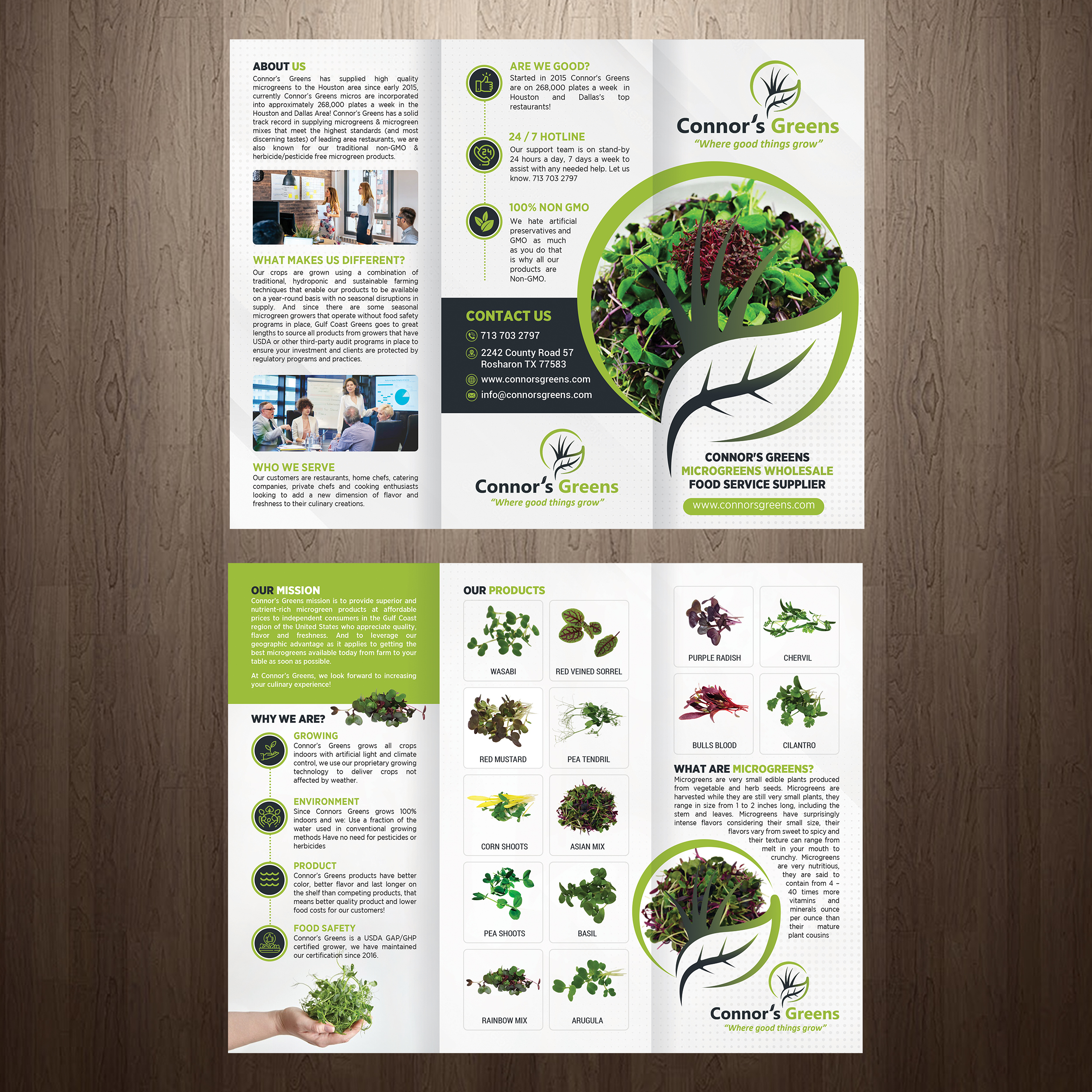 Design de Flyer par GraphicsGuru pour XIARA Offshore | Design #30817319