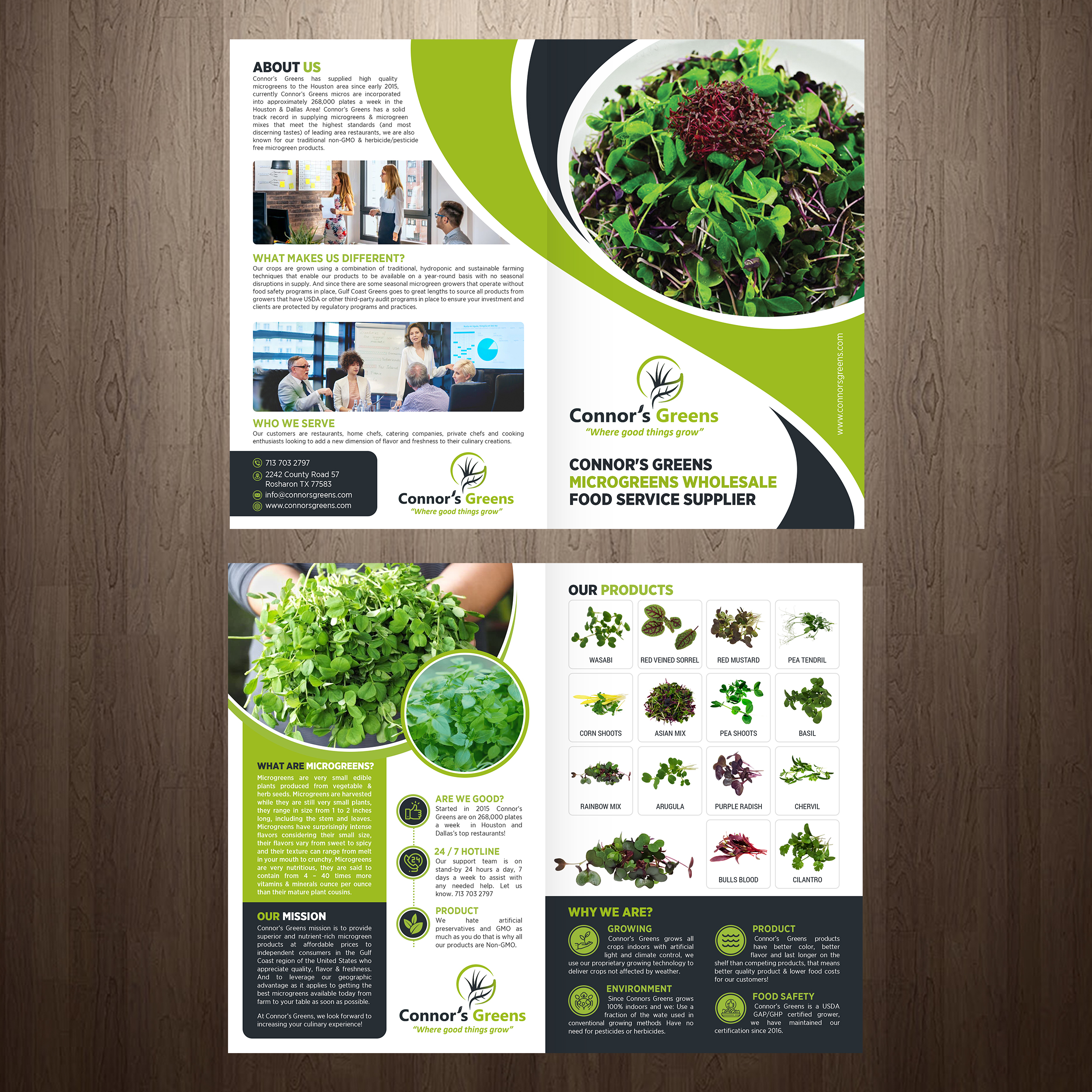 Design de Flyer par GraphicsGuru pour XIARA Offshore | Design #30817364