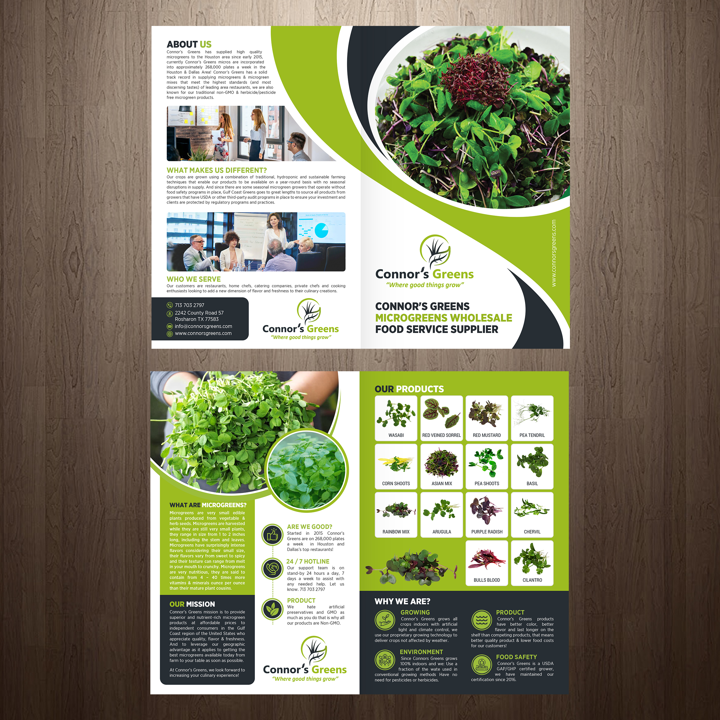 Design de Flyer par GraphicsGuru pour XIARA Offshore | Design #30817404