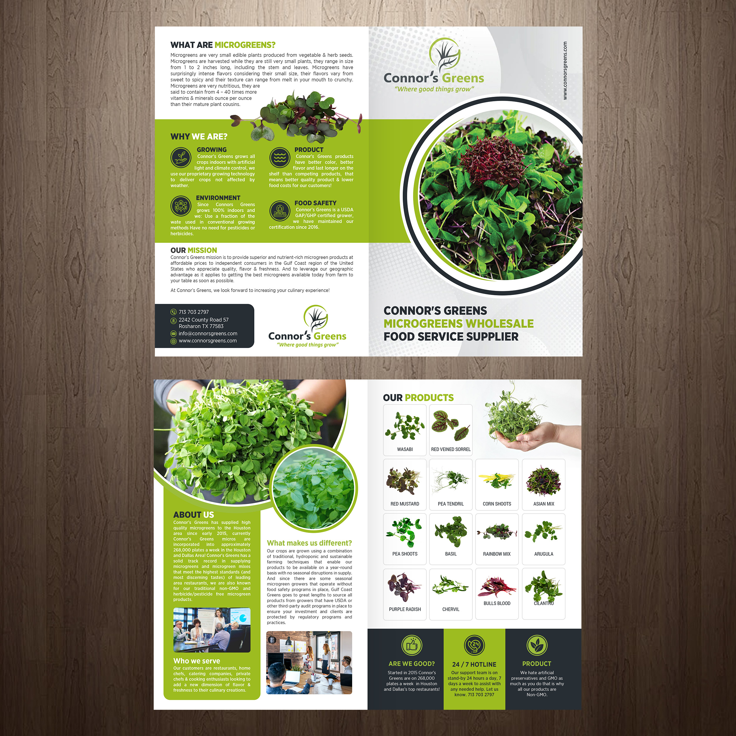 Design de Flyer par GraphicsGuru pour XIARA Offshore | Design #30817578