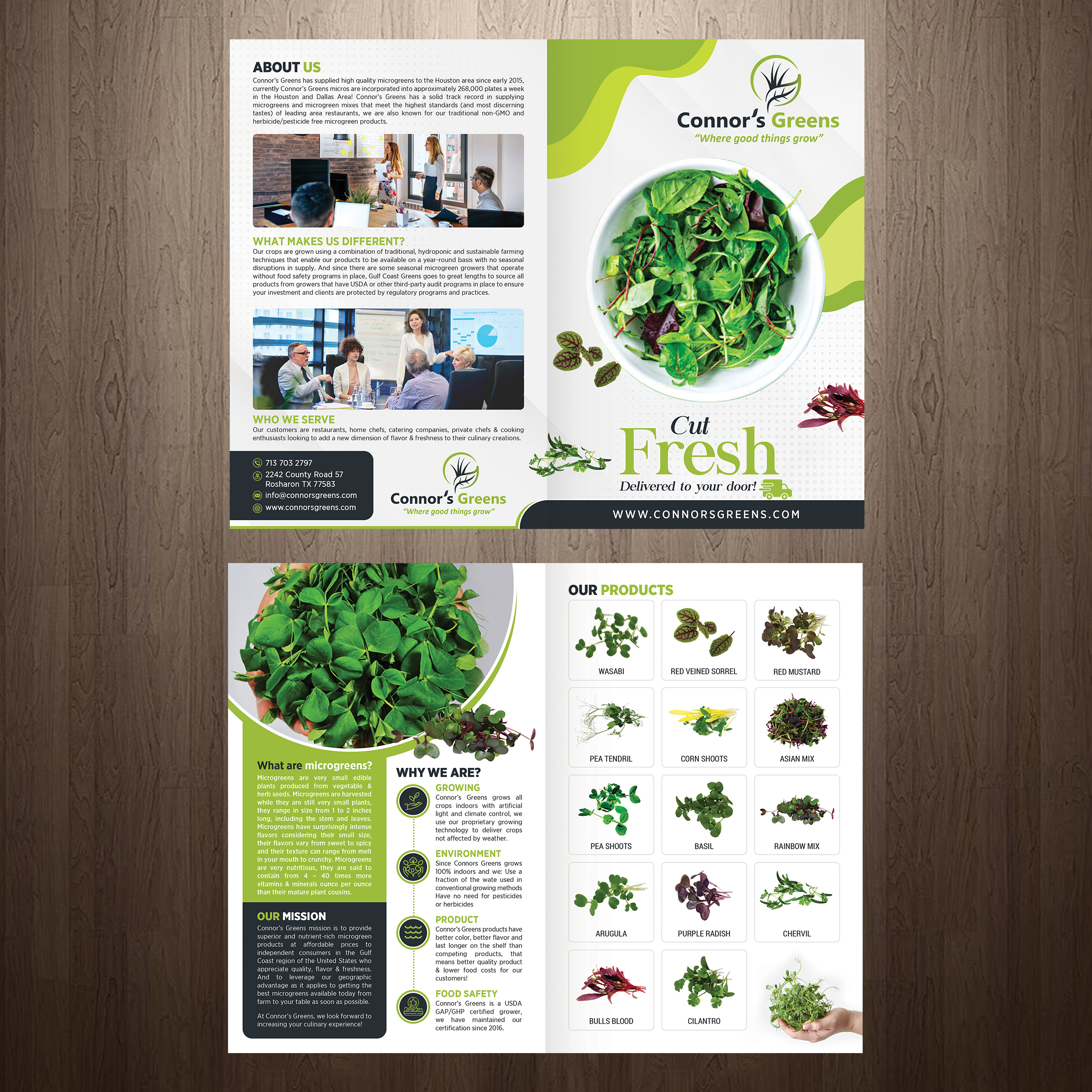 Design de Flyer par GraphicsGuru pour XIARA Offshore | Design #30860970