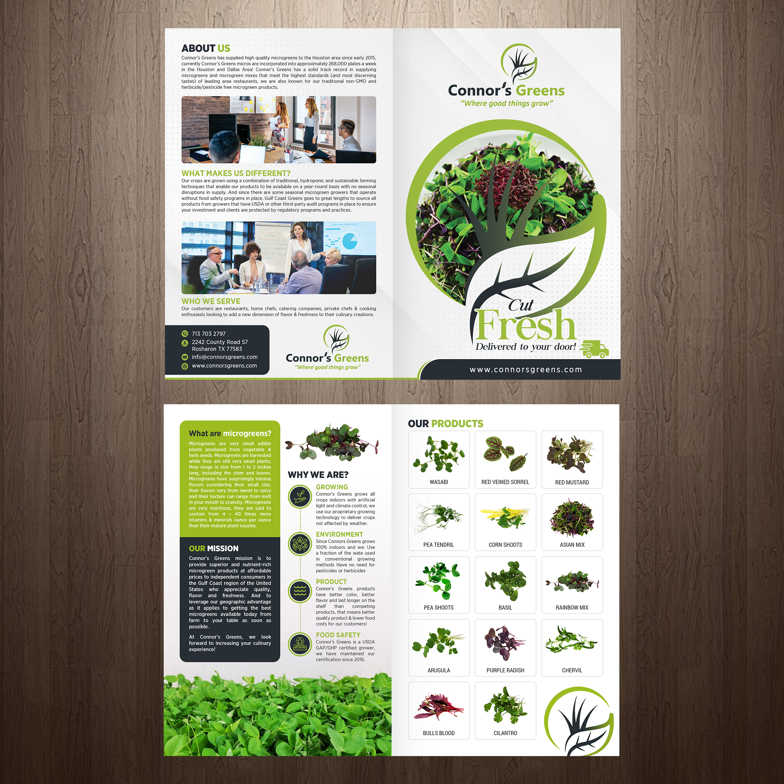 Design de Flyer par GraphicsGuru pour XIARA Offshore | Design #30867497