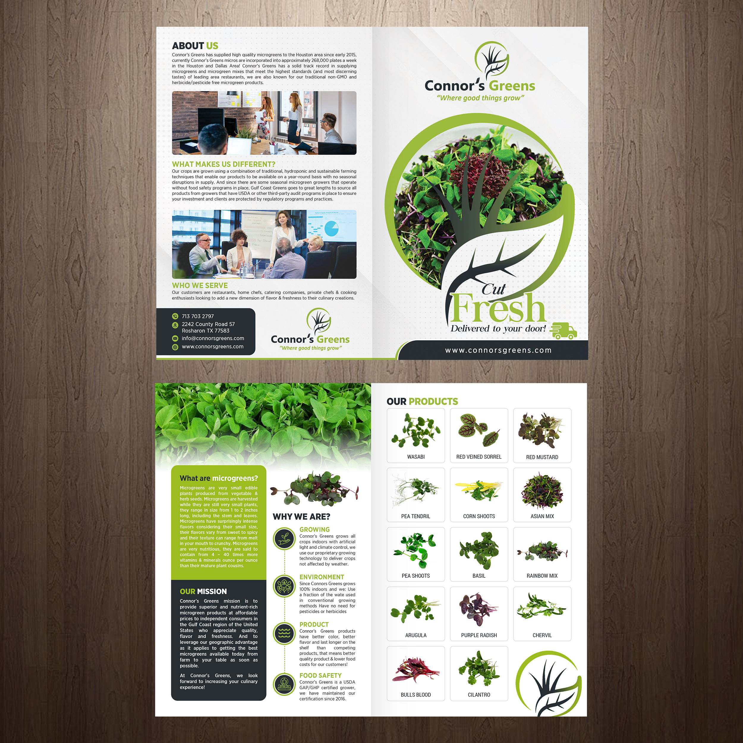 Design de Flyer par GraphicsGuru pour XIARA Offshore | Design #30867498