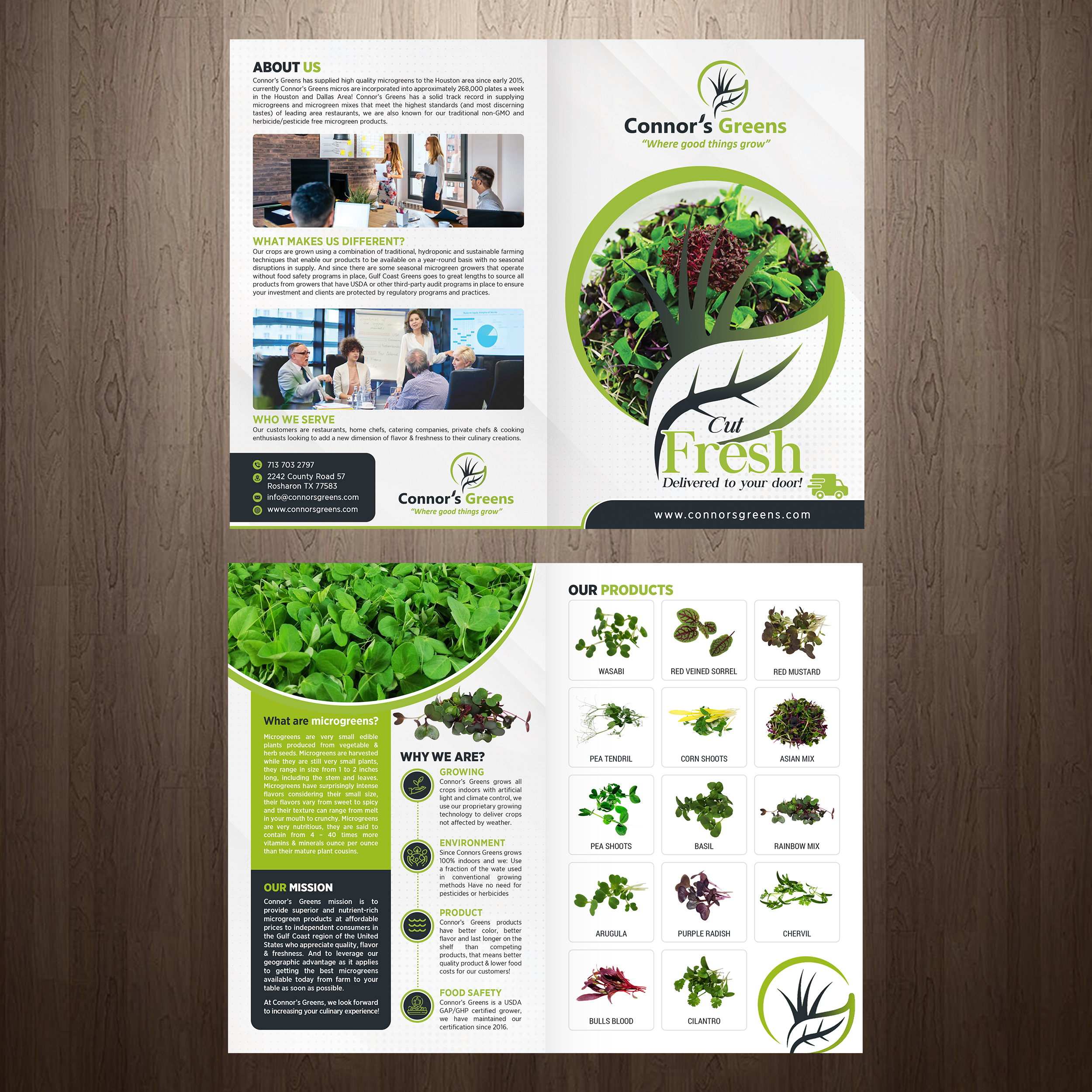 Design de Flyer par GraphicsGuru pour XIARA Offshore | Design #30867499