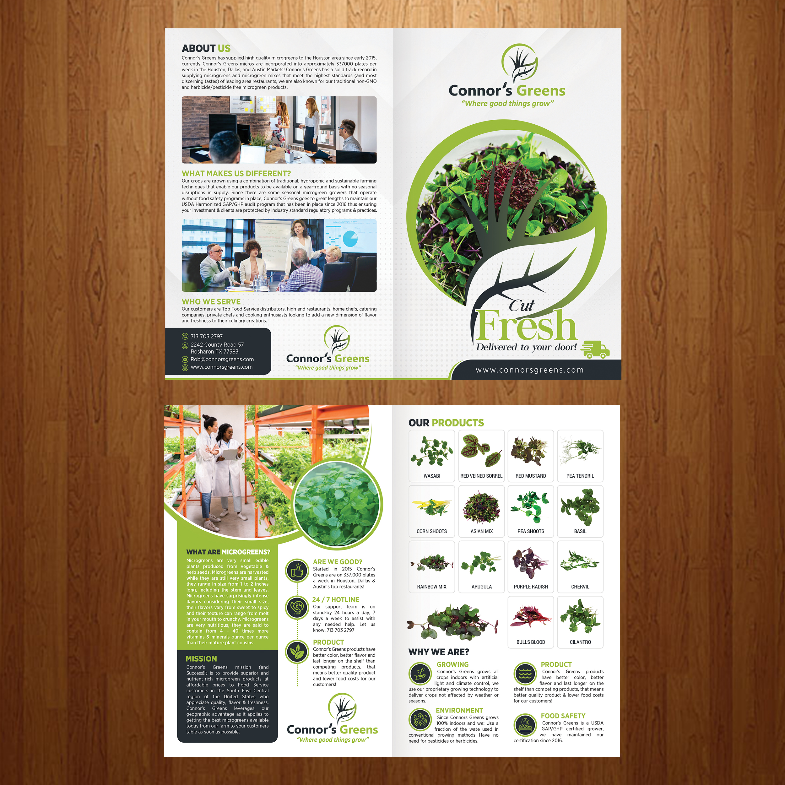 Design de Flyer par GraphicsGuru pour XIARA Offshore | Design #30870254