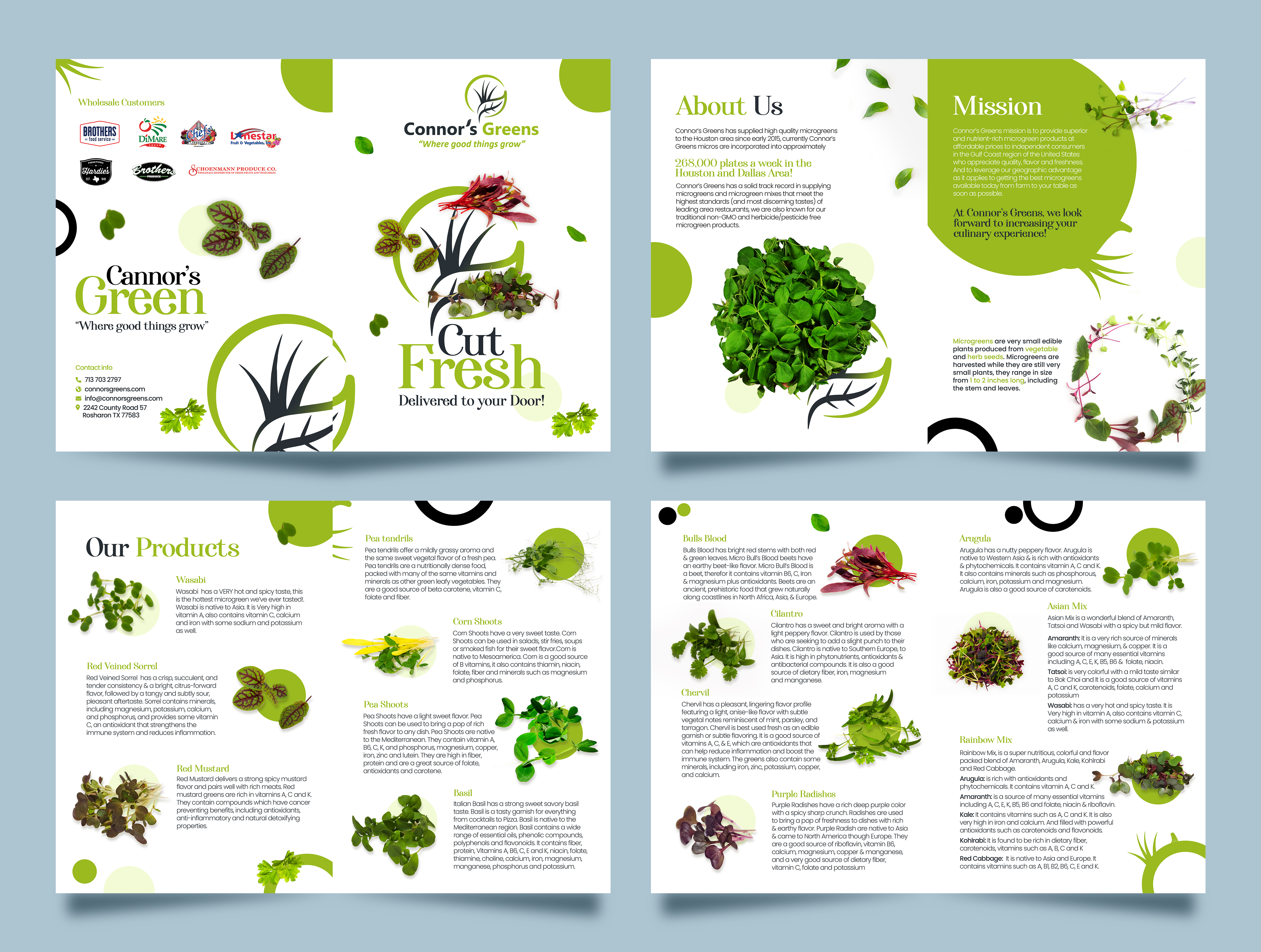 Flyer Design by Graphic Guy for XIARA Offshore | Design #30637840