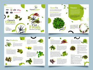 Flyer Design by Graphic Guy for XIARA Offshore | Design: #30637840
