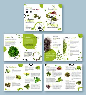 Flyer Design by Graphic Guy for XIARA Offshore | Design: #30650850