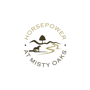 Logo Design by RainART