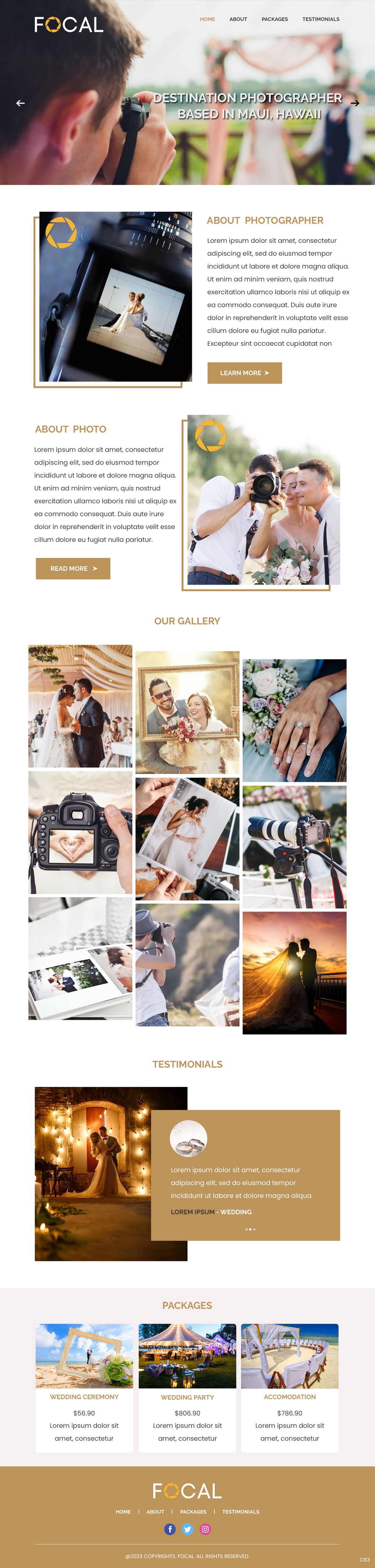 Web Design by pb for bookfocal.com | Design #30657416