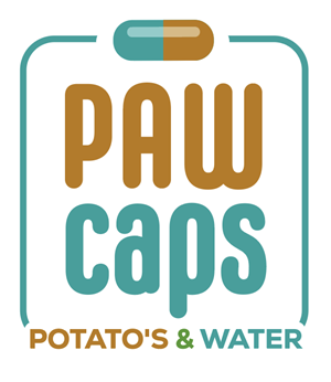 Logo Design by Golden Flamingo