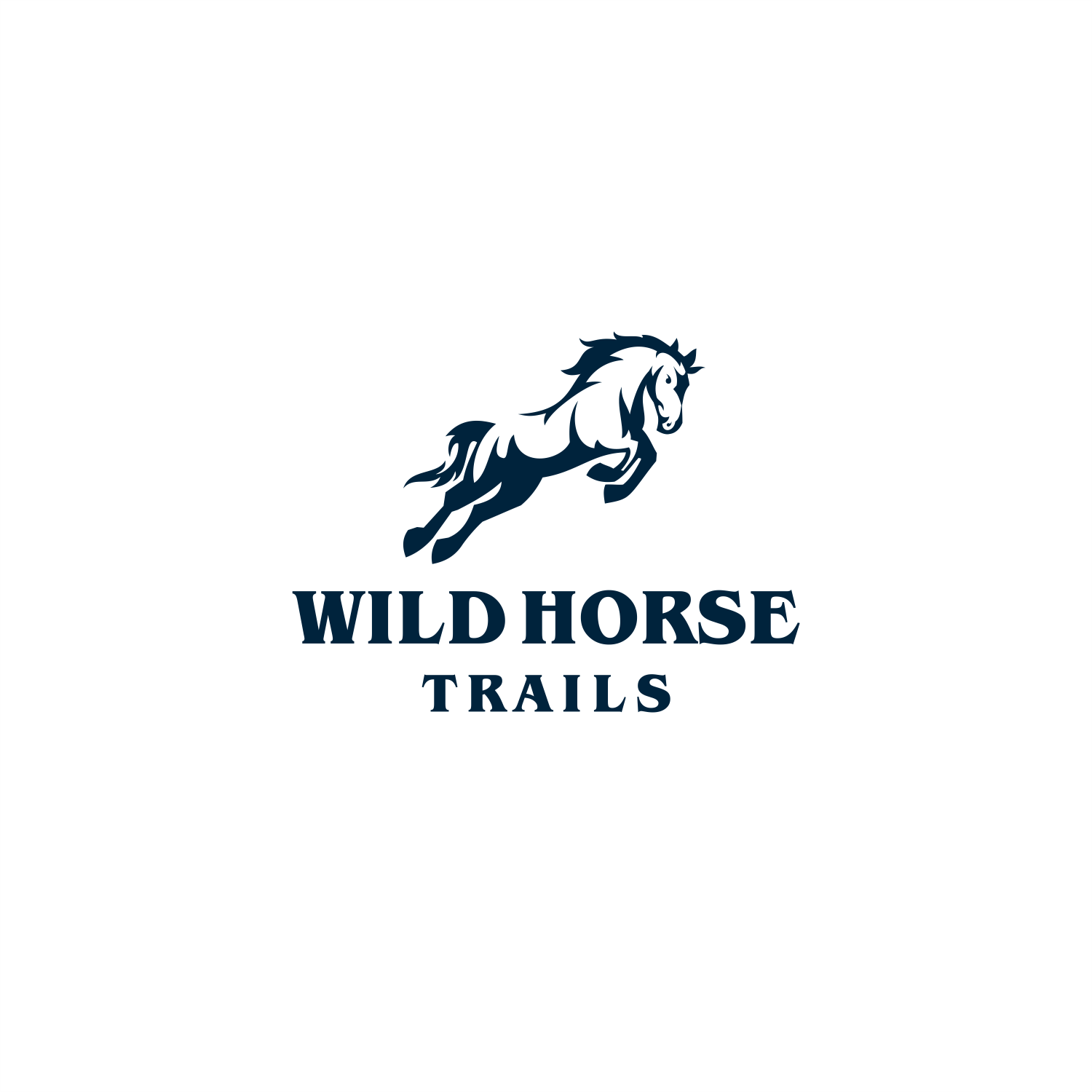 Logo Design by ThiagoB for this project | Design #30650560