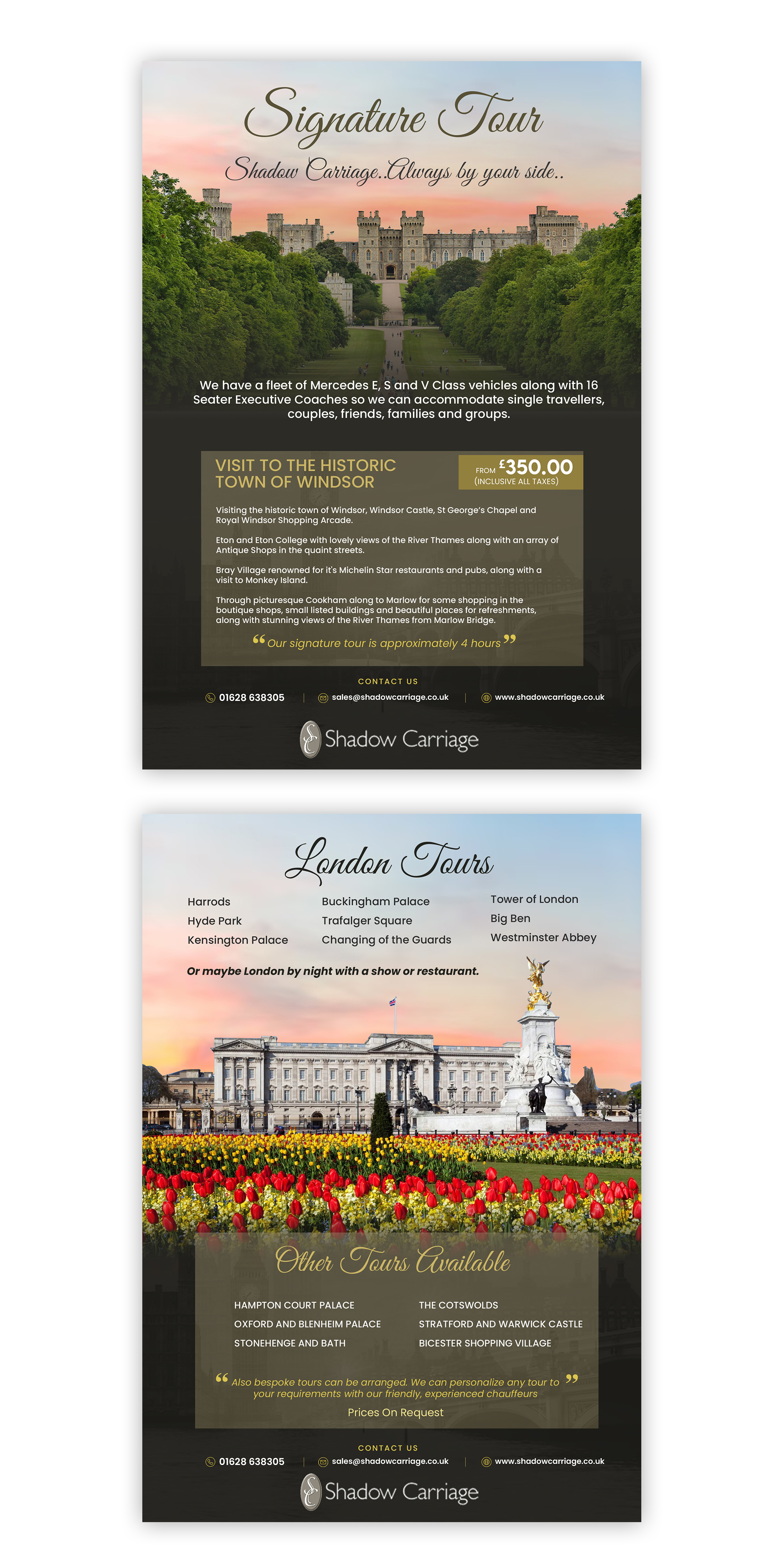 Diseño de Flyer por debdesign para este proyecto | Diseño #30945619