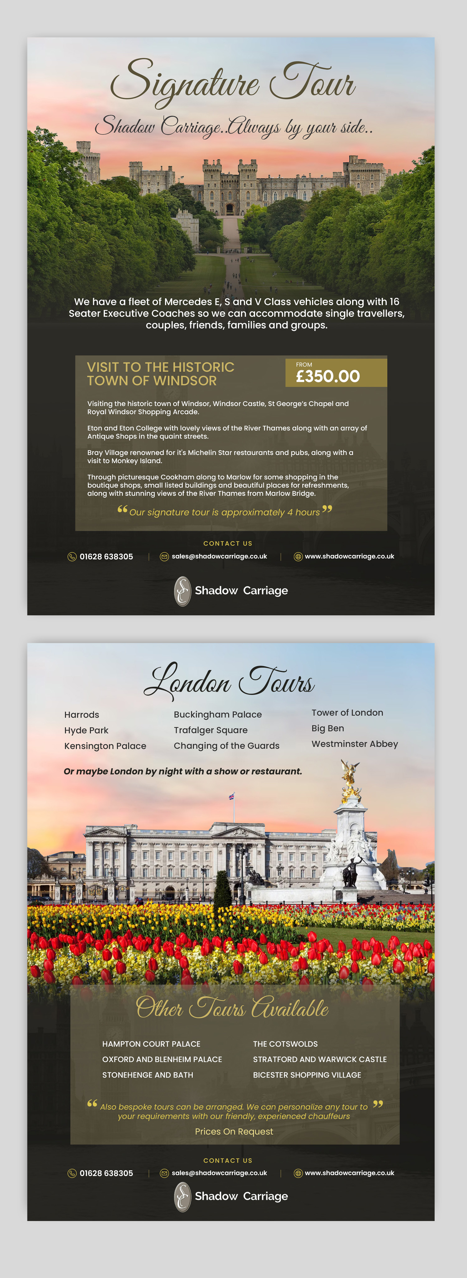 Diseño de Flyer por debdesign para este proyecto | Diseño #30948923