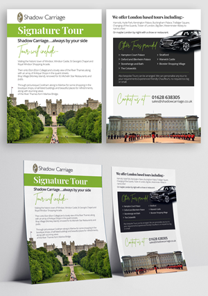 Flyer Design by Graphic Guy for this project | Design #30661740