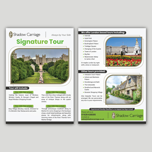 Diseño de Flyer por Bidita Saha para este proyecto | Diseño: #30662700