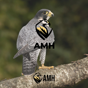 Logo Design by Consa