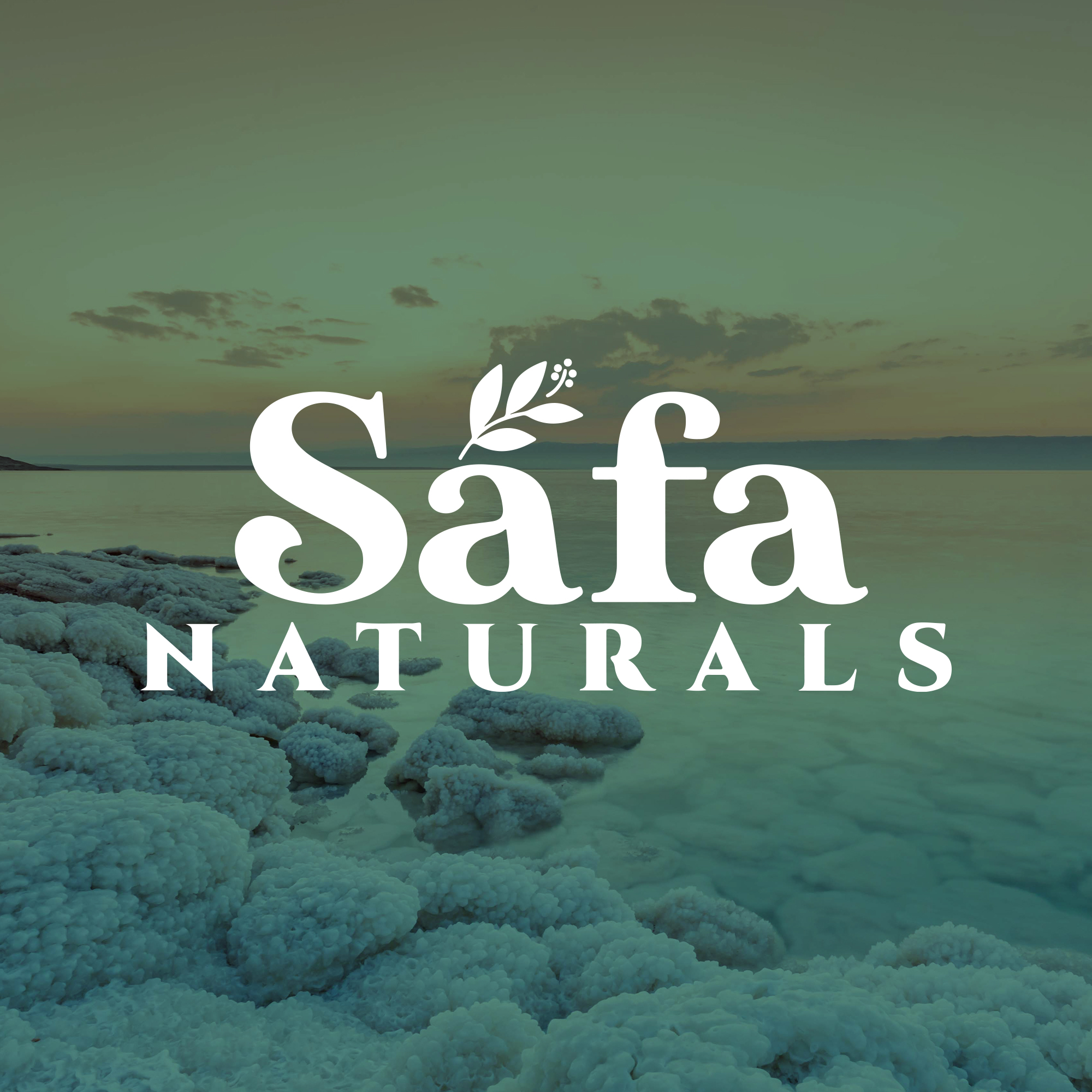 Logo Design by DSCMedian™ for this project | Design #30678922