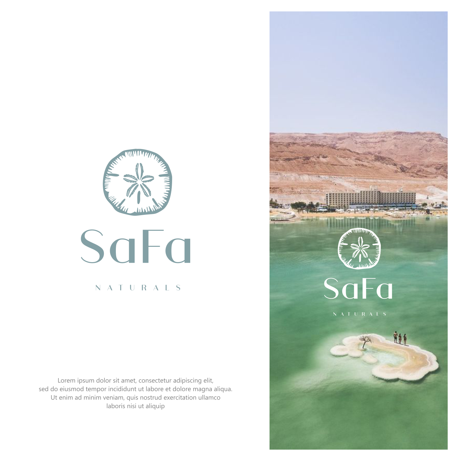 Logo Design by ThiagoB for this project | Design #30658224