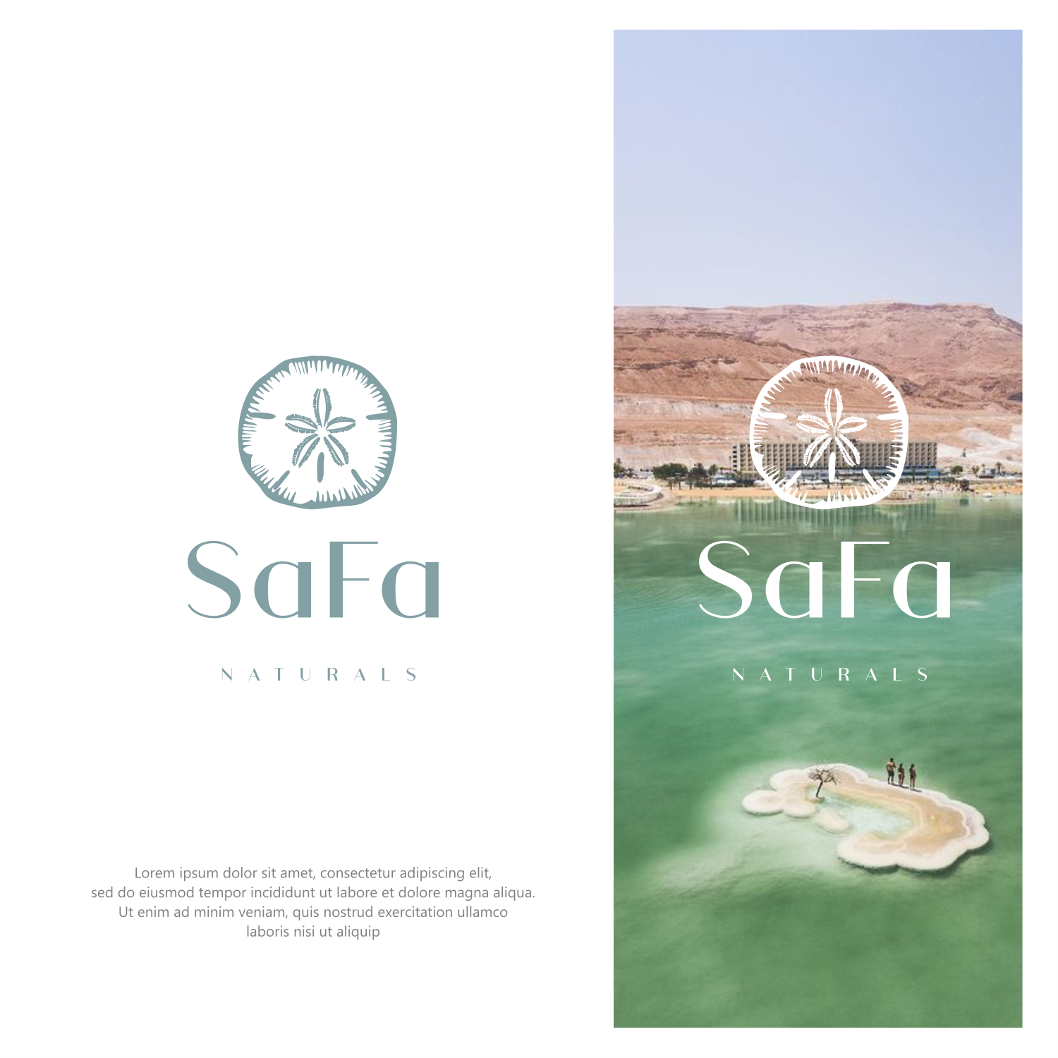 Diseño de Logo por ThiagoB para este proyecto | Diseño #30666751