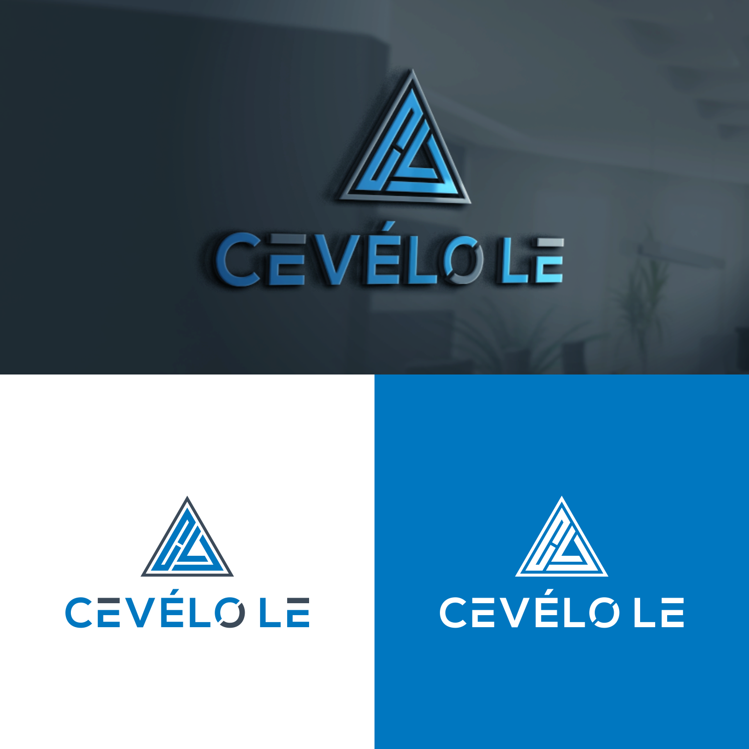 Diseño de Logo por okta5 para Ce Le Vélo | Diseño #30661966