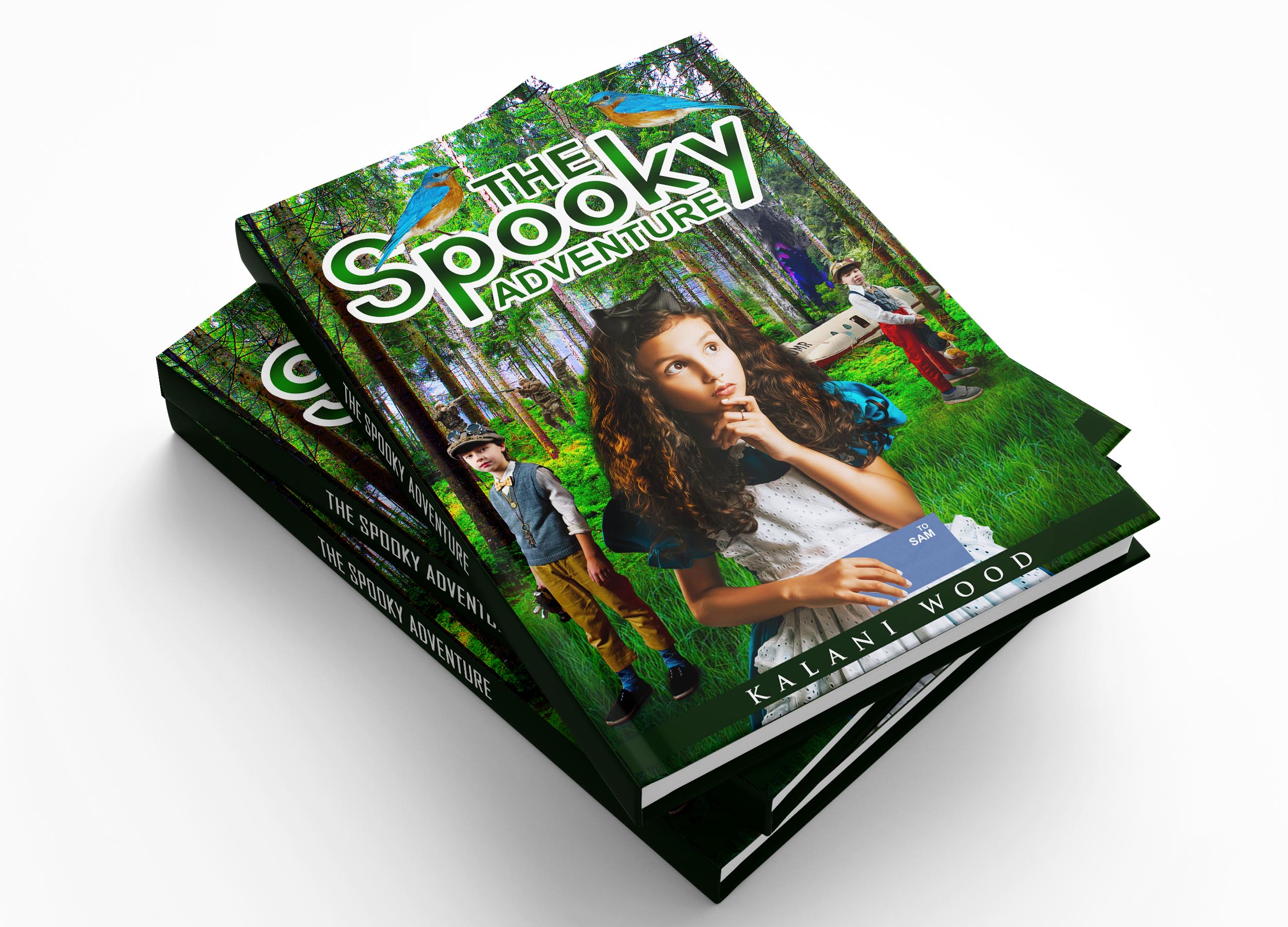 Book Cover Design by Tech Nova for this project | Design #30667341