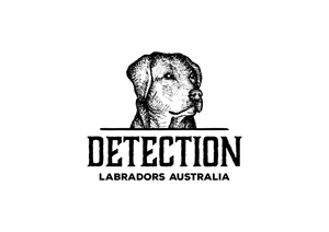 Logo Design by Real Eyes