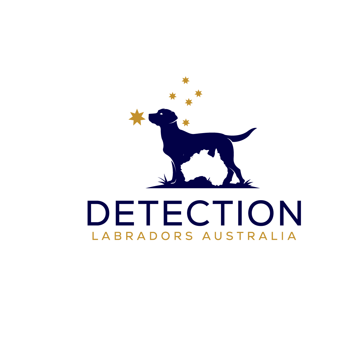 Logo Design by MagicArt Pix for this project | Design #30665507