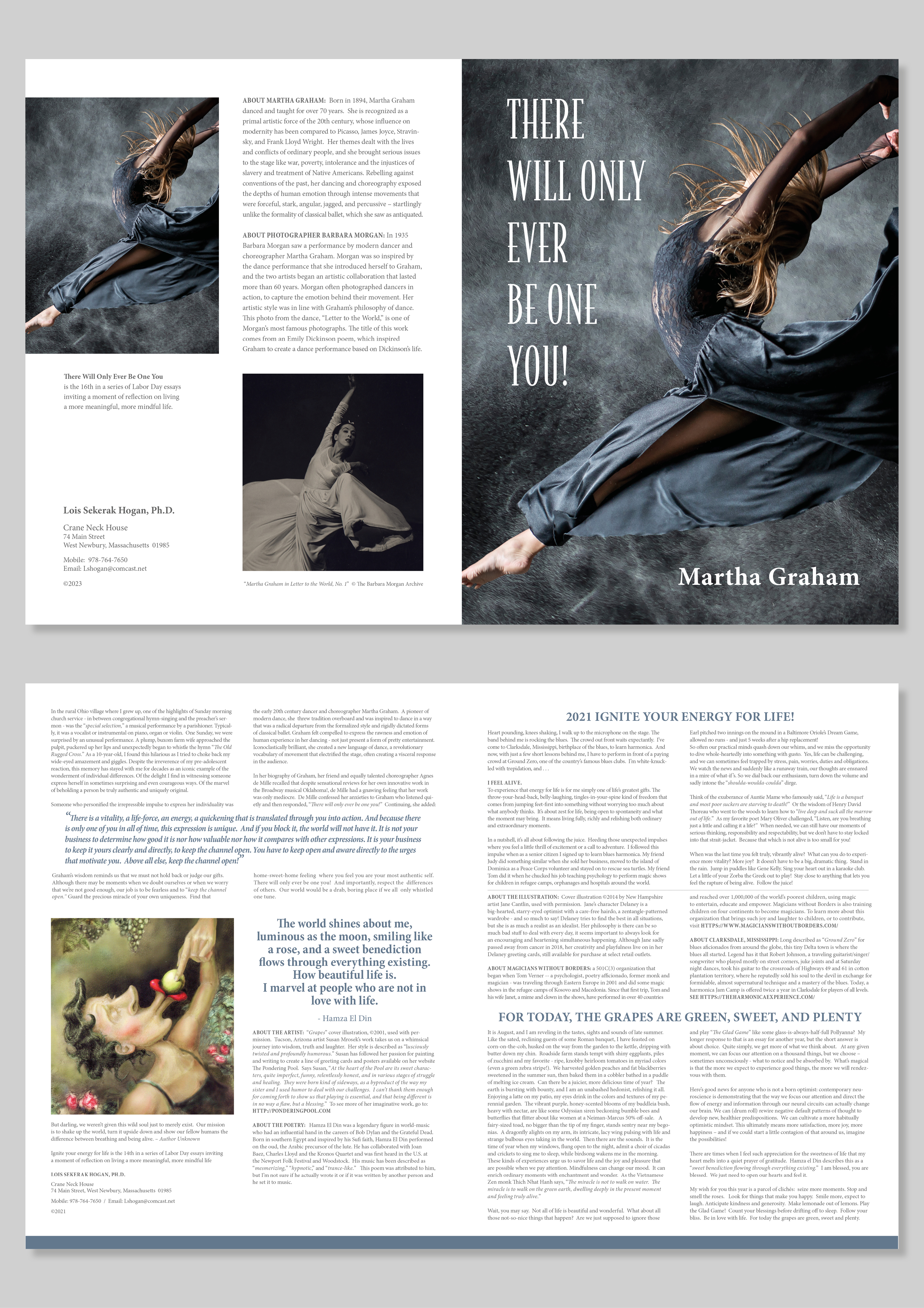 Flyer Design by MarkoE for Campfire Insights | Design #30708869