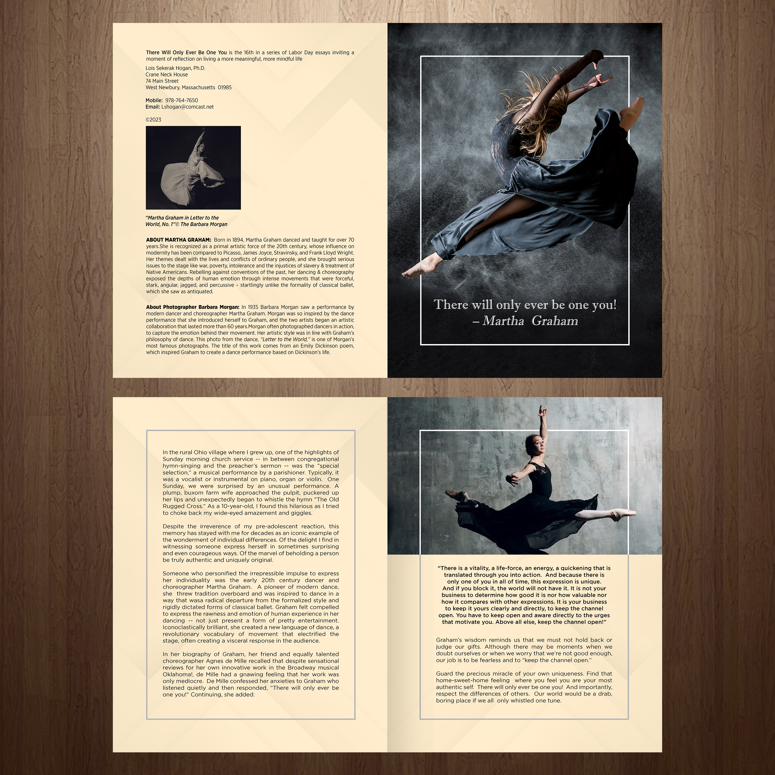 Design de Flyer par GraphicsGuru pour Campfire Insights | Design #30709051