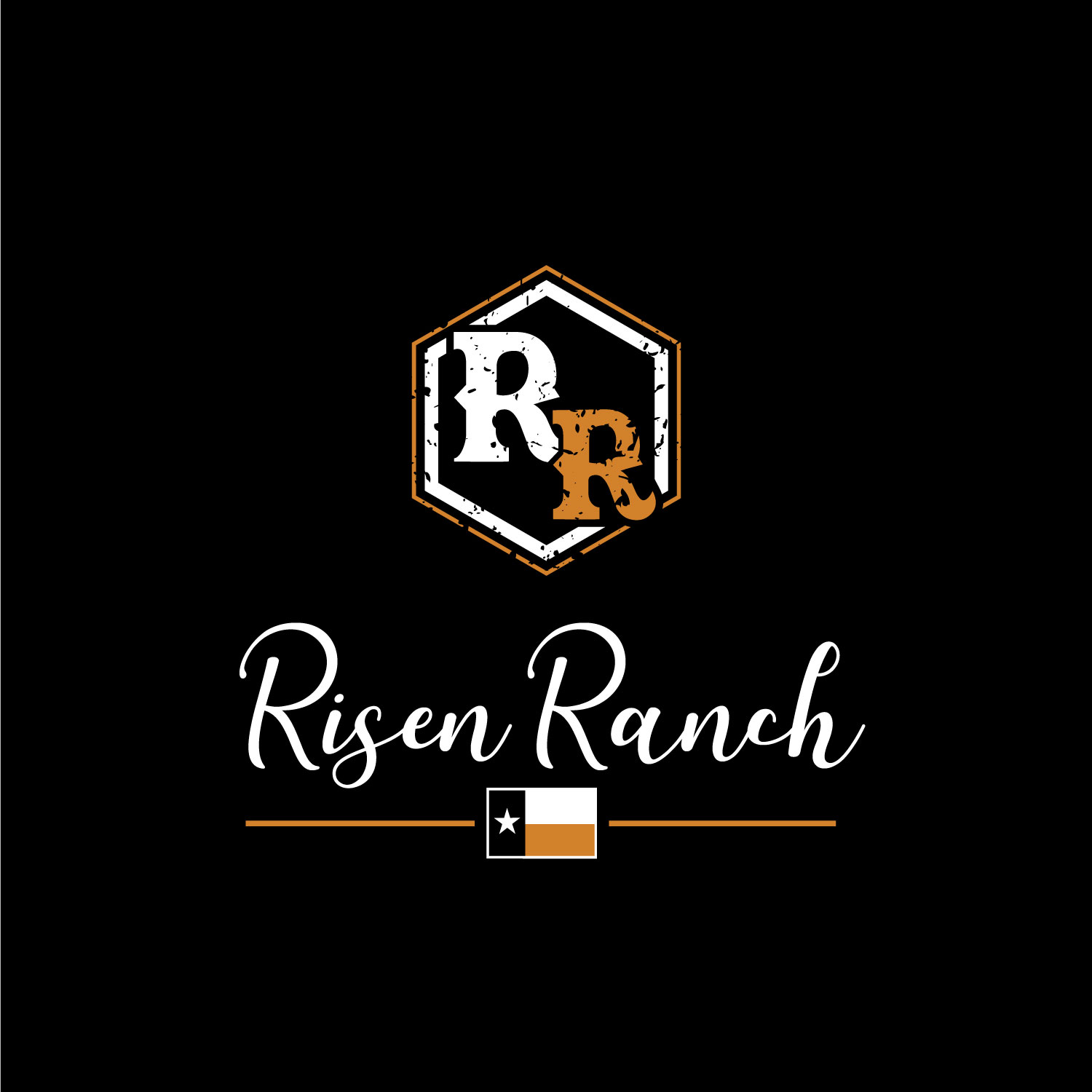 Diseño de Logo por LAXMI DESIGNHUB para este proyecto | Diseño #30712177