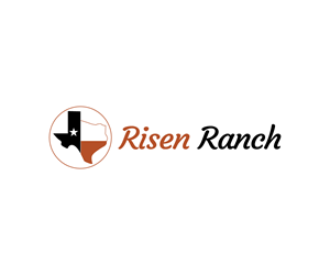 Logo Design by Ansh Design for this project | Design: #30680219