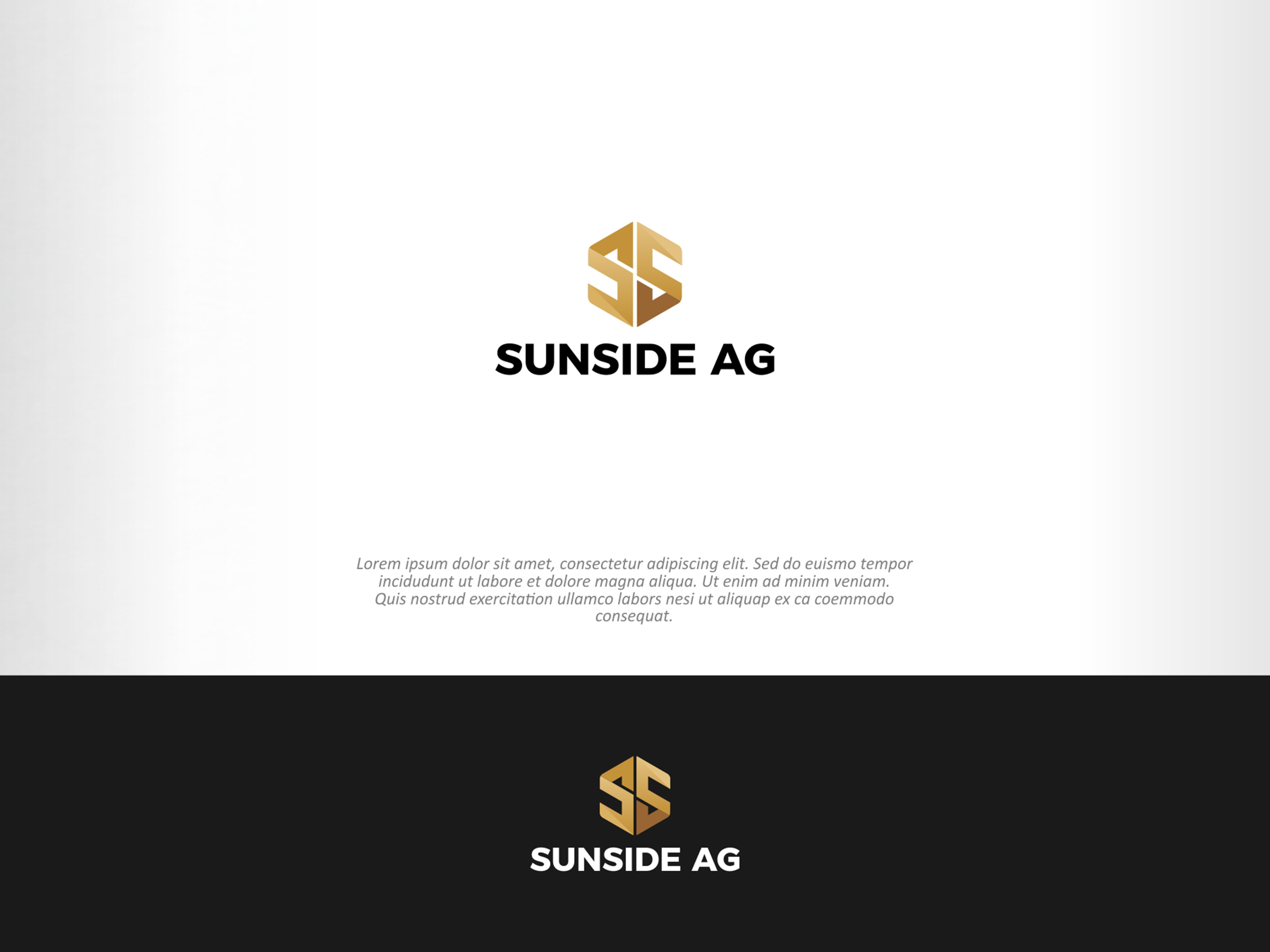Logo Design by Abici for this project | Design #30676623