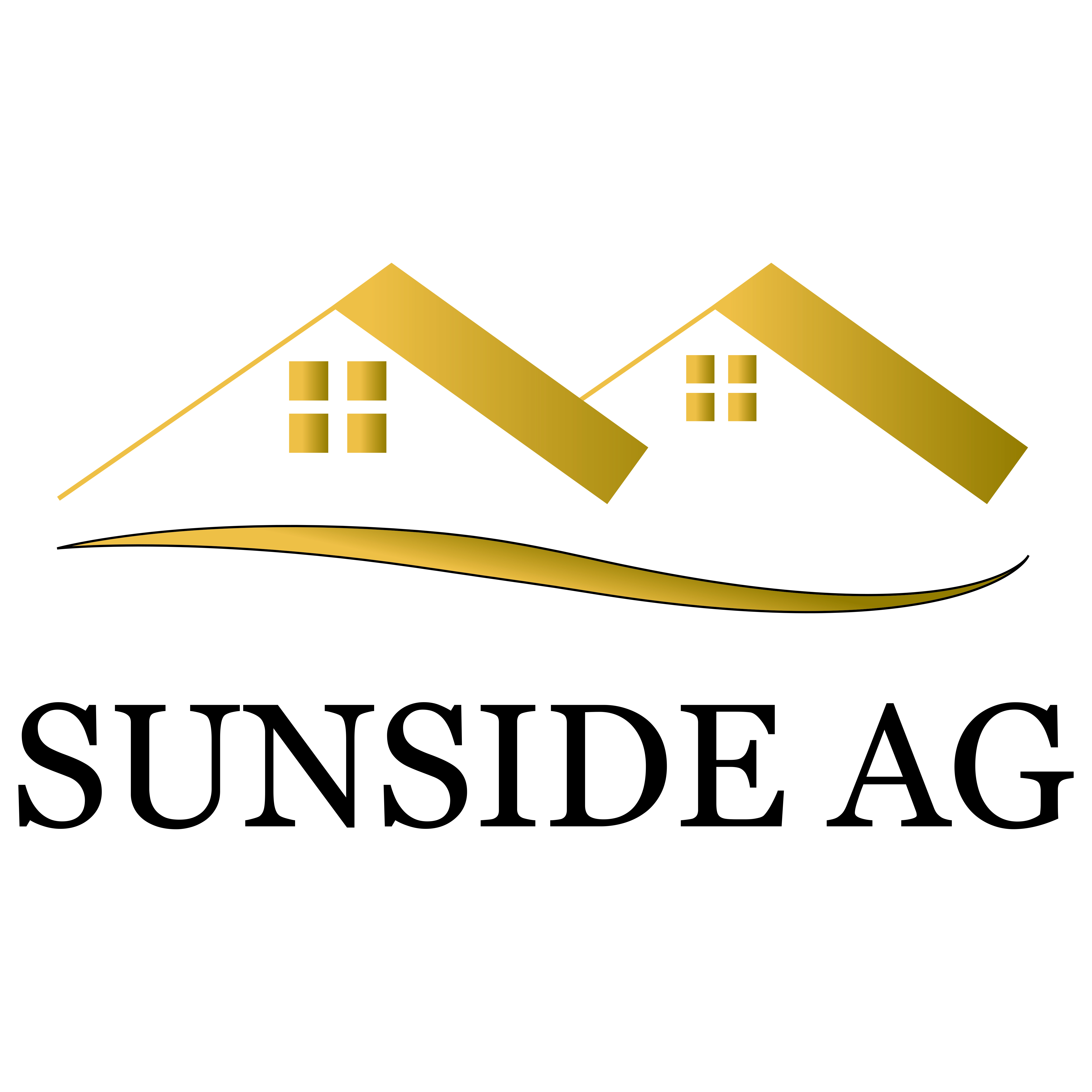 Logo Design by designer FR for this project | Design #30692641