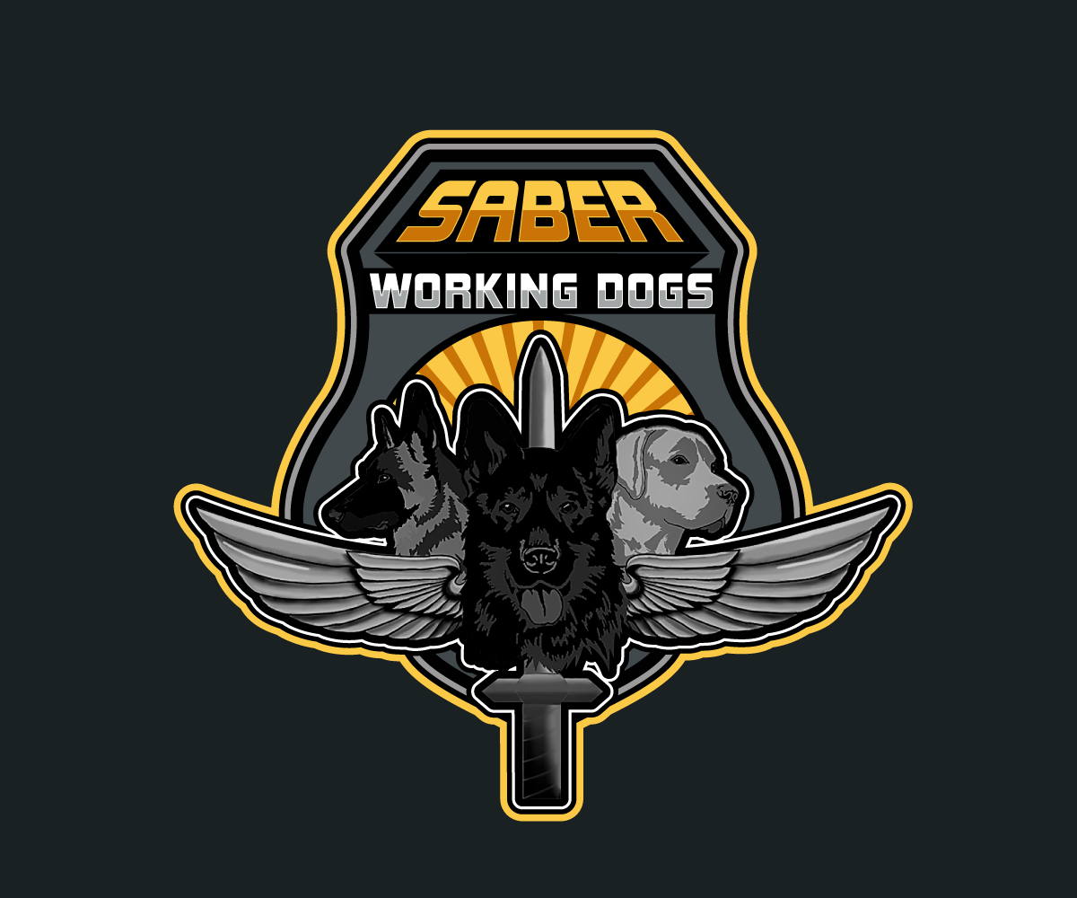Logo-Design von Paint-Tools für dieses Projekt | Design #30683204