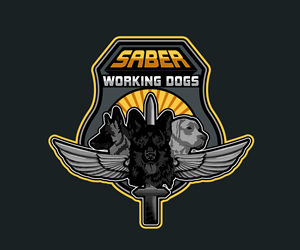 Logo-Design von Paint-Tools für dieses Projekt | Design #30683204