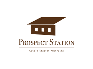 Diseño de Logo por ritinhahahah para este proyecto | Diseño: #30684454