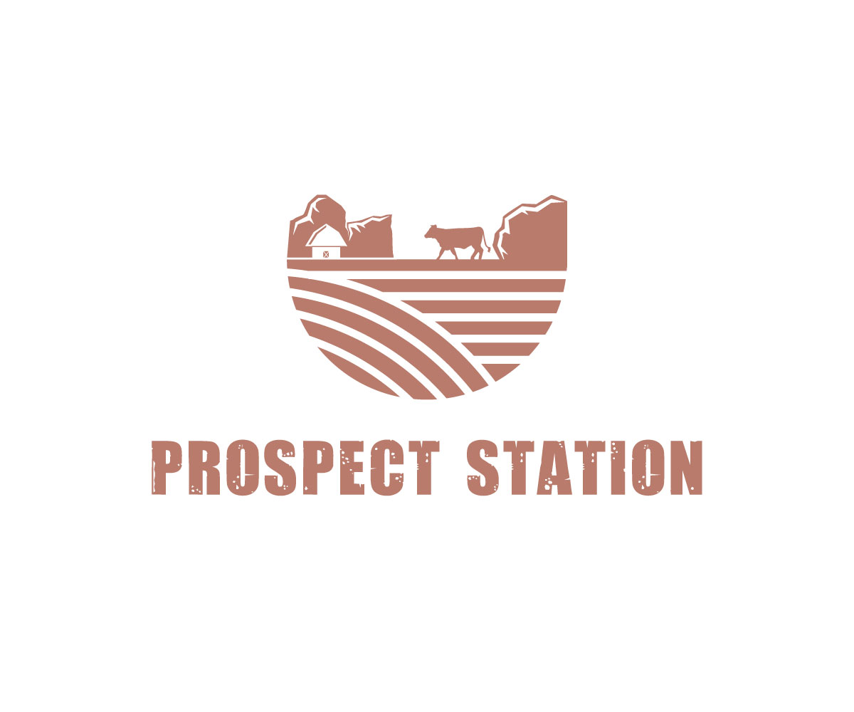 Logo-Design von Ansh Design für dieses Projekt | Design #30682495