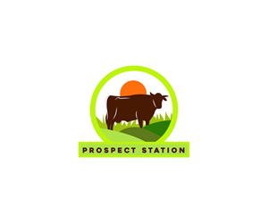 Design de Logo par Ansh Design pour ce projet | Design : #30682496